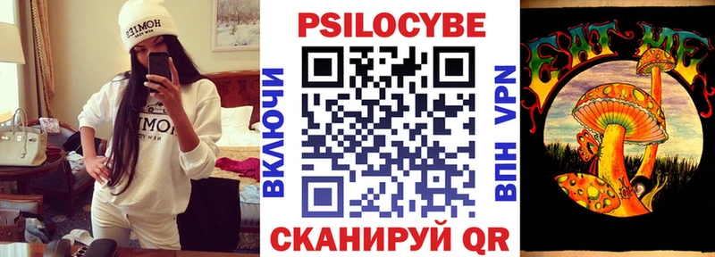 МЕГА ССЫЛКА  что такое наркотик  Камышлов  Псилоцибиновые грибы мицелий 